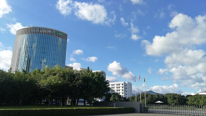 企业发展路上的灯塔：企业投资顾问引领行业趋势